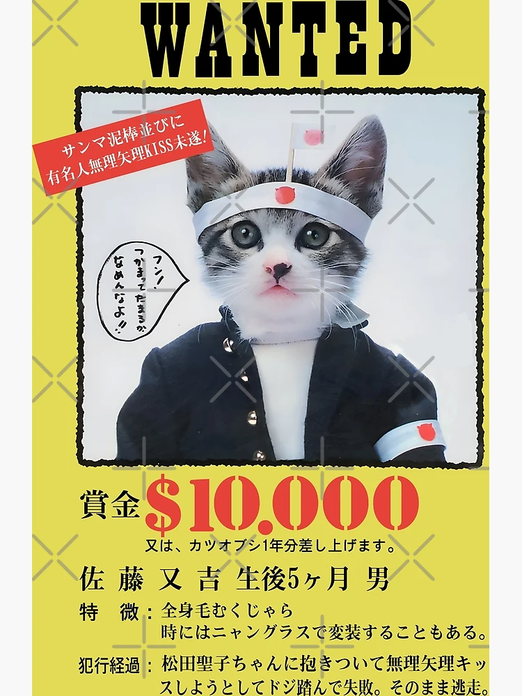 flat,750x,075,f-pad,750x1000,