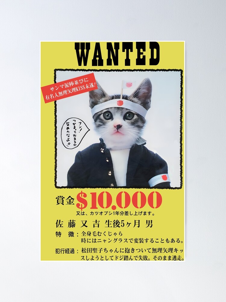 【だめねこページ】 fposter,medium,wall_texture,