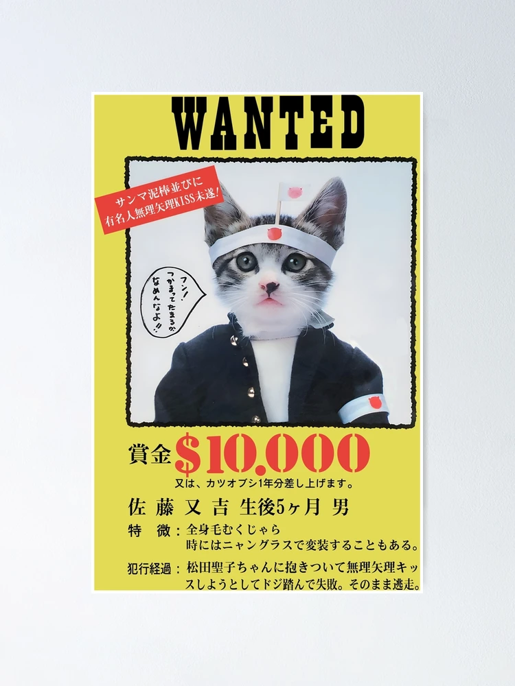 nekokoページ fposter,small,wall_texture,