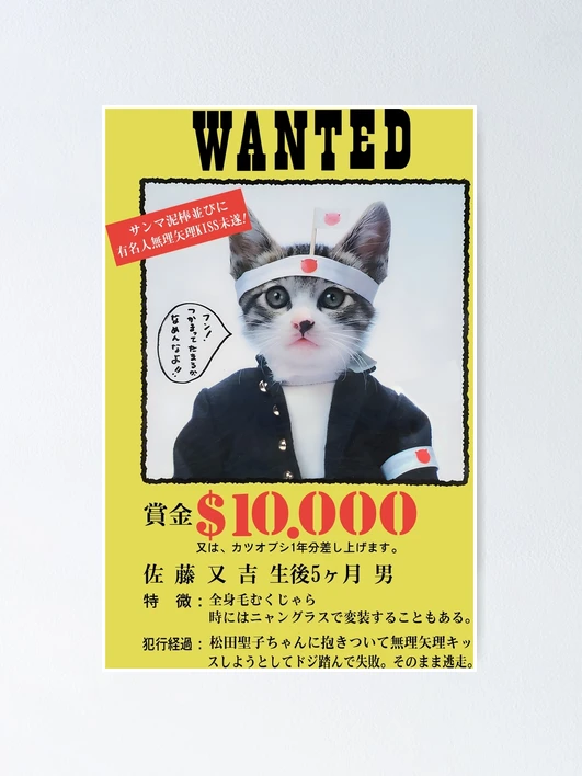 nekoさん専用ページ fposter,x_small,wall_texture,