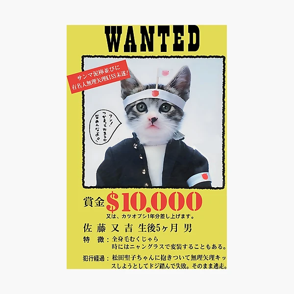 pp,504x498-pad,600x600,f8f8f8.webp