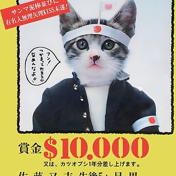 Nameneko Bosozoku Wanted / なめ猫 暴走族 指名手配