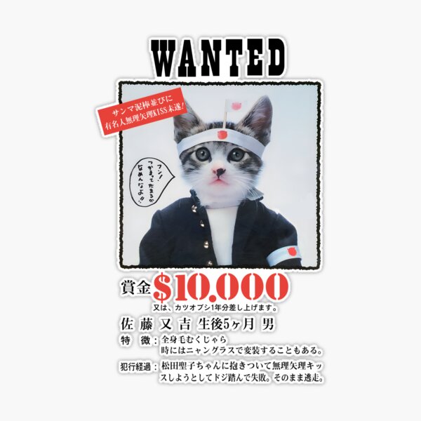 st,extra_large,507x507-pad,