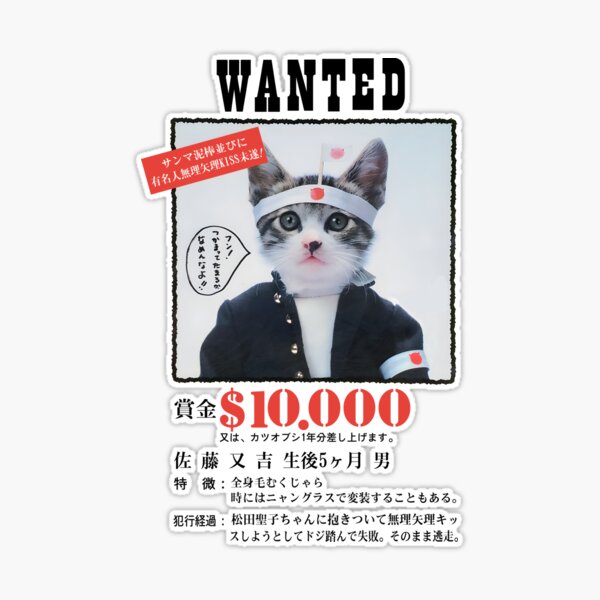 Nameneko Bosozoku Wanted / なめ猫 暴走族 指名手配