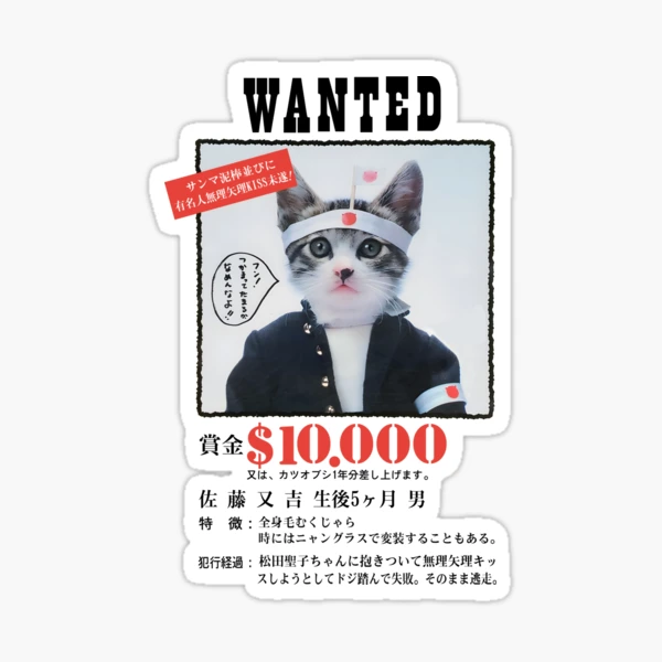 【だめねこページ】 st,small,507x507-pad,600x600,