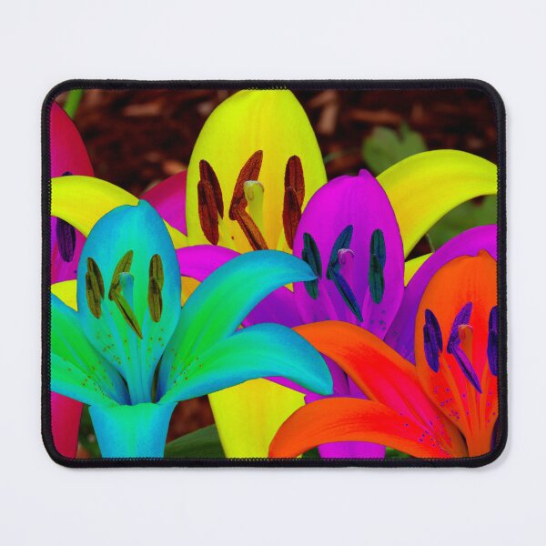 Item preview, Beautiful Colored Day Lilies designed and sold by BostonArcImage.