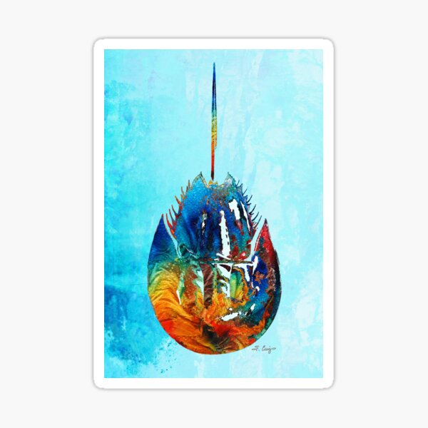 Little Sparkly Sticker Book Halloween — The Horseshoe Crab