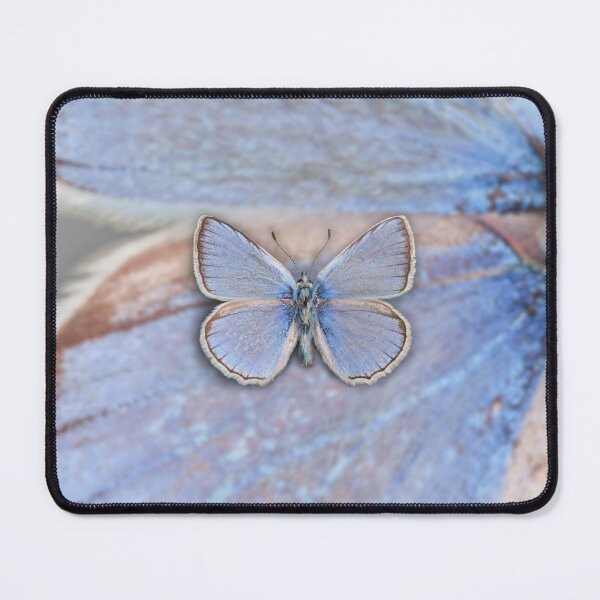 Item preview, Blue Butterfly designed and sold by Artistically4U.