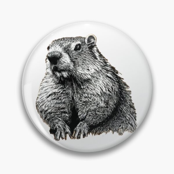 Item preview, Thoughtful marmot in black and white designed and sold by GroundhogMs.