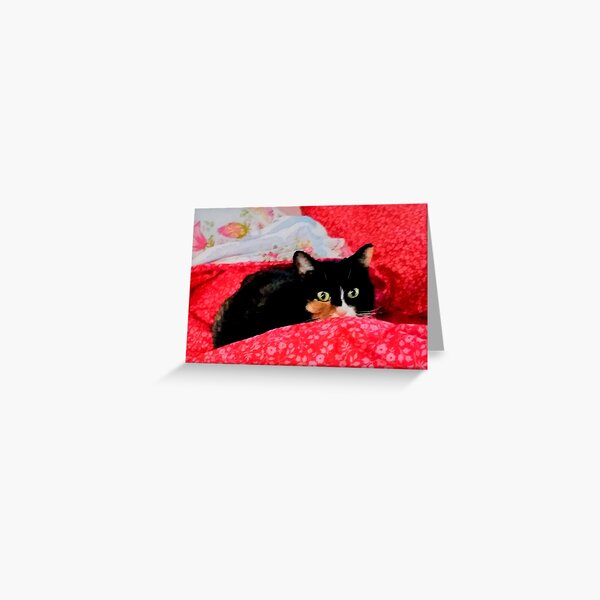 "IZZY" CAT HUNT DESIGN Greeting Card