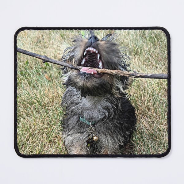 Item preview, I Gots a STICKS!!!!! designed and sold by Kissara.