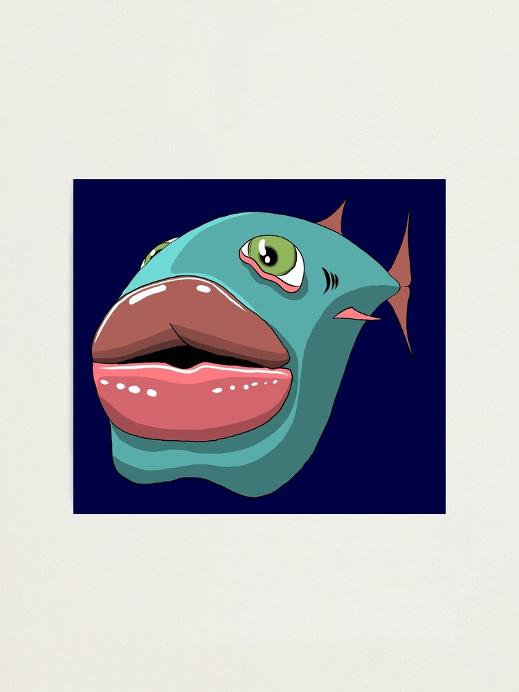 邦楽 1st DemoCD / Fish and Lips 邦楽 1st DemoCD / Fish and Lips 邦楽 1st DemoCD / Fish and Lips