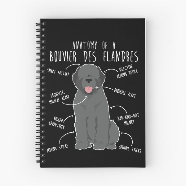 Item preview, Bouvier Des Flandres Grey Dog Anatomy designed and sold by Clara Hollins.