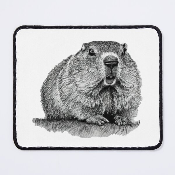 Item preview, Plump marmot drawn in black and white designed and sold by GroundhogMs.
