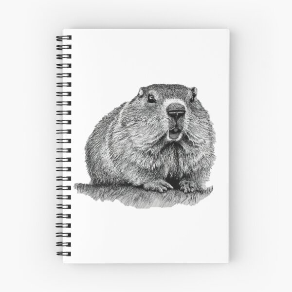 Item preview, Plump marmot drawn in black and white designed and sold by GroundhogMs.