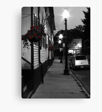 Flowers Canvas Print