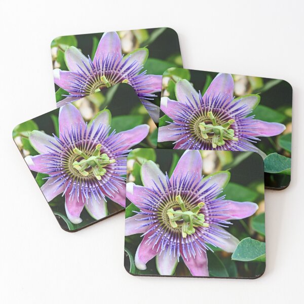 Item preview, Passion Flower designed and sold by Tdcc2000.