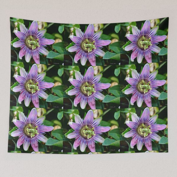 Item preview, Passion Flower designed and sold by Tdcc2000.