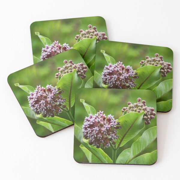 Item preview, Milkweed  designed and sold by Poete100.