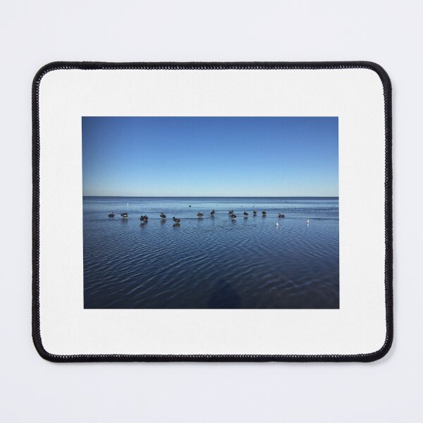 Item preview, blak swans in l'altona designed and sold by RE-PSYCHLE.