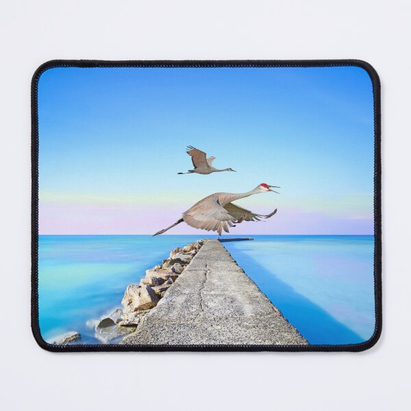 Item preview, Sandhill Cranes Migrating Inland designed and sold by FineArtography.