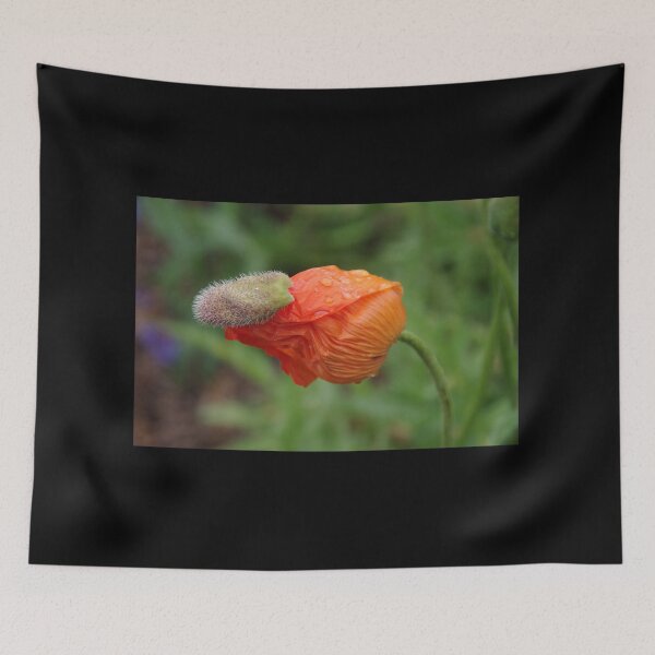 Item preview, Last Bit To Shake Off (Poppy Bud) designed and sold by lezvee.