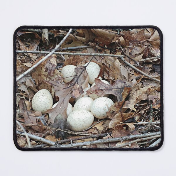 Item preview, Eggies designed and sold by Kissara.