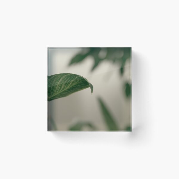 Item preview, pax verde designed and sold by ObscuraLumina.