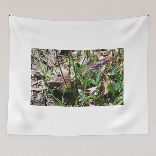 Item preview, Skink (Blue Tongue Lizard) designed and sold by lezvee.