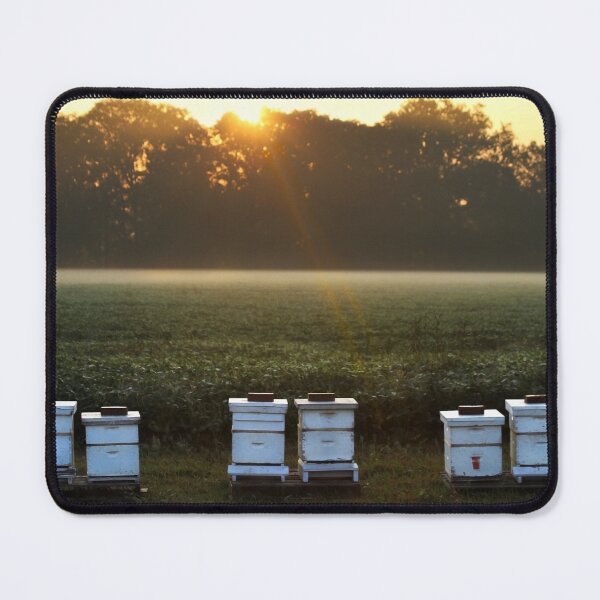 Item preview, Beehives at Sunrise designed and sold by Catherine Sherman.