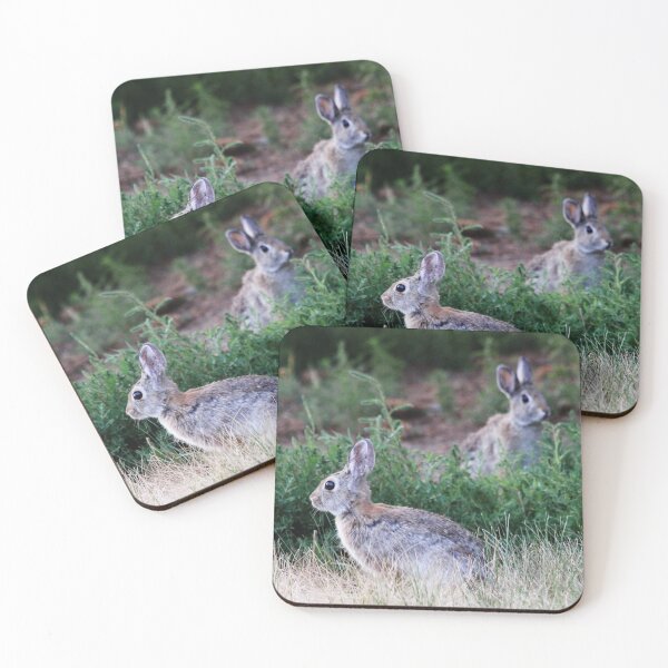Item preview, Seeing Double designed and sold by Alyce Taylor.