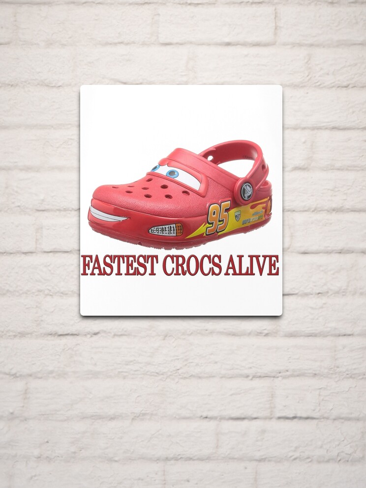 Shrek on the Croc Metal Print for Sale by apollosale