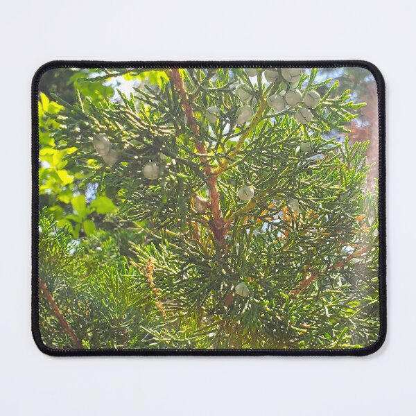 Item preview, Wild Juniper Tree  designed and sold by etherealwonders.