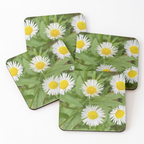 Item preview, Little Wild Daisies  designed and sold by Amanda1775.