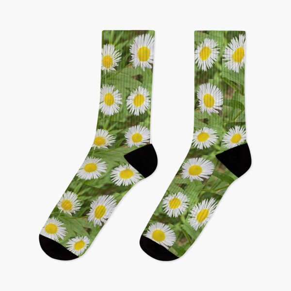 Item preview, Little Wild Daisies  designed and sold by Amanda1775.