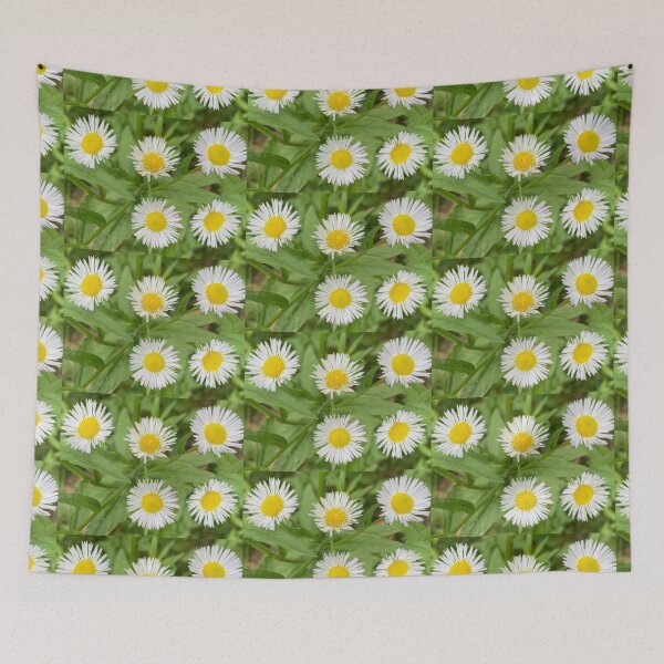 Item preview, Little Wild Daisies  designed and sold by Amanda1775.