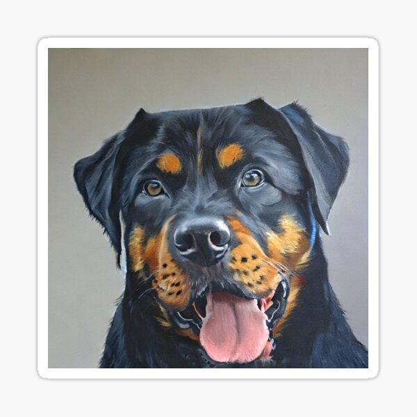 Rottweiler Dog Black Brown with Gray Background Sticker