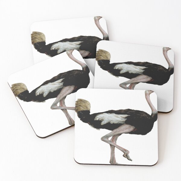 Item preview, black and white ostrich standing on one leg designed and sold by RaelynGreer80.