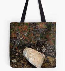 ∇ Tote Bag
