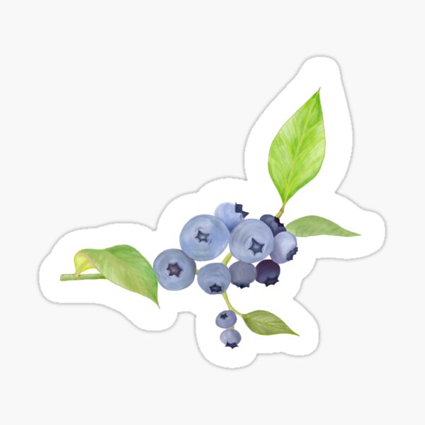 Item preview, Blueberry  designed and sold by LaurenH1001.