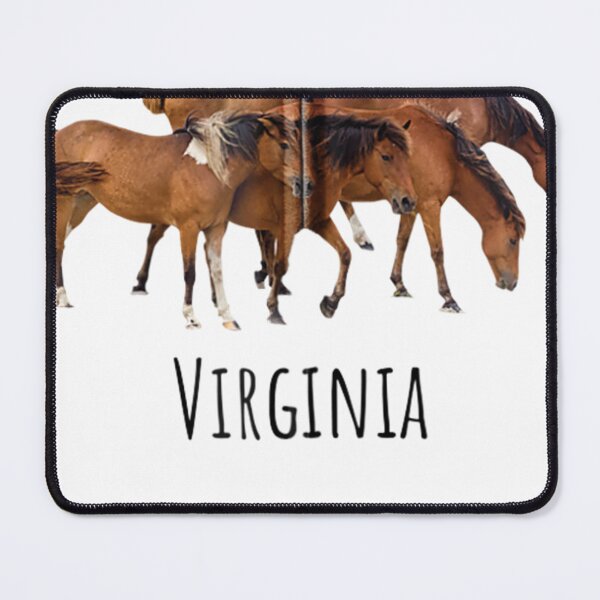 Item preview, Chincoteague Island Virginia Horse Assateague Pony designed and sold by firminsuzan.