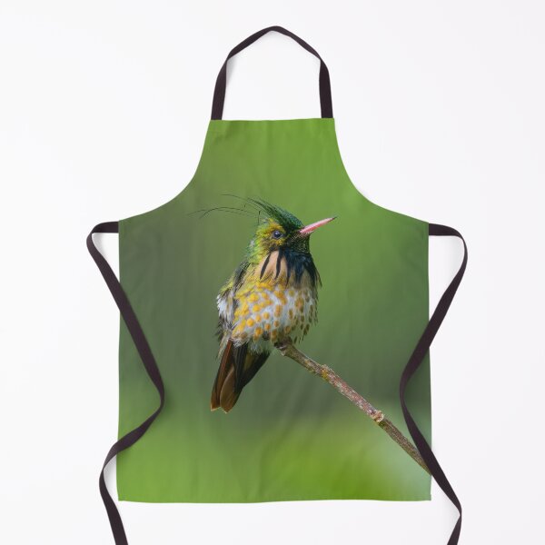 Item preview, Black-crested Coquette designed and sold by Roger Mackertich.
