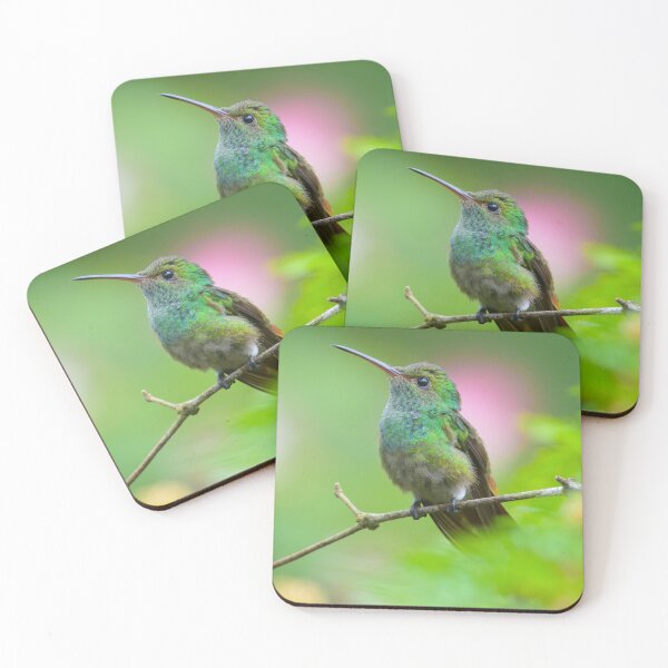 Item preview, Rufous-tailed Hummingbird designed and sold by Roger  Mackertich.