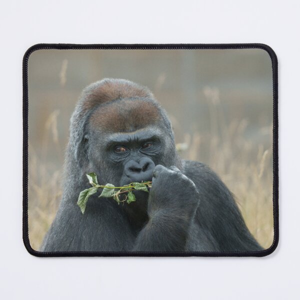 Item preview, Gorilla Mother Ozala designed and sold by rawshutterbug.