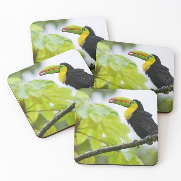 Item preview, Keel-billed Toucan designed and sold by Roger  Mackertich.
