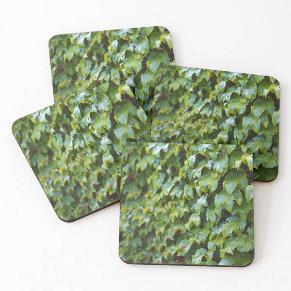 Item preview, Green Leaves Of Red Boston Ivy Climber designed and sold by Joy Watson - Natural Light Photography .