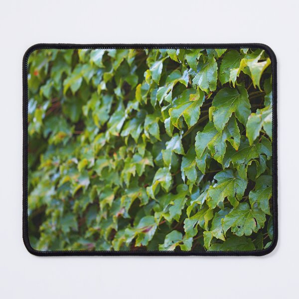Item preview, Green Leaves Of Red Boston Ivy Climber designed and sold by Joy Watson - Natural Light Photography .