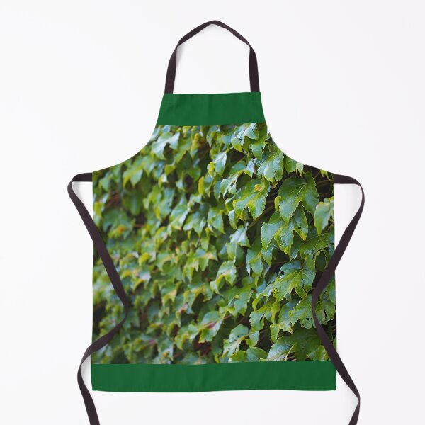 Item preview, Green Leaves Of Red Boston Ivy Climber designed and sold by Joy Watson - Natural Light Photography .