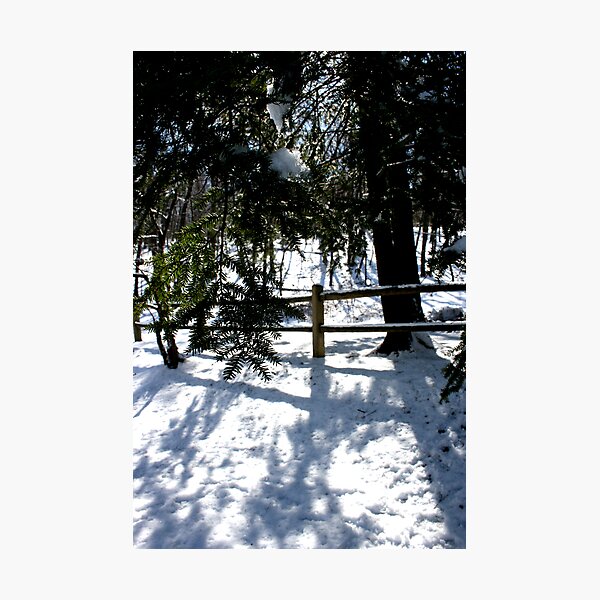 It's Winter Photographic Print