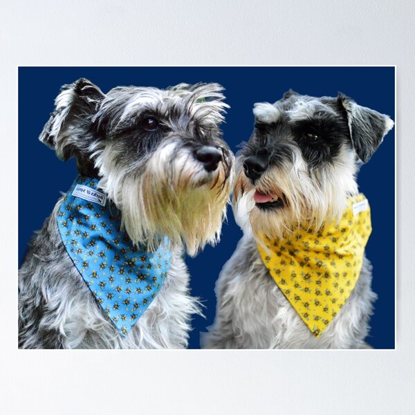 Item preview, Hansel & Gertie the Schnauzers designed and sold by barksandsqueaks.